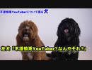 不謹慎系YouTuberについて語る犬