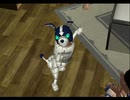 密かじゃなくなってきたセガ好きがニュールーマニアを実況プレイ　Part20