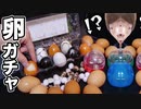 【史上初】ゆで"卵"ガチャ登場www