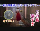 【第五人格】高みを目指す第五人格　part67【IdentityⅤ】【アイデンティティファイブ】