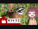 キリトリミ_Vol.02（春）