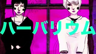 toyaohako - ハーバリウム (Official Music Video)
