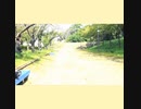 【踊ってみた】めざせポケモンマスター！とクレヨンしんちゃん　【縄跳び短縮ver】