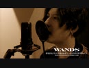 【WANDS】「愛を語るより口づけをかわそう ～WANDS 第5期 ver.～」MAD MV