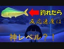 【あつまれどうぶつの森】忙しい人のためのあつ森実況【20日目】