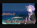 【川のぬし釣り】川のぬしを釣り切りたいゆかりさん９【VOICEROID実況プレイ】
