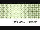 NVQ Level 6