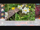 憎き害虫をコロコロするフラワーナイトガール　Part145