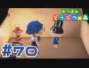 【実況】可愛いウサギが遊びに来ていた #70【あつまれどうぶつの森】