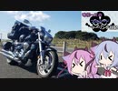 鳴花ーズのブルバードツーリング日記　Part5「三大カルスト制覇　ざ・だいじぇすと」