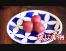 カリカリなカリカリ梅を作ろう！