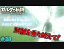 【続編決定記念】のんびりと伝説「ゼルダの伝説～ブレスオブザワイルド～」　＃35