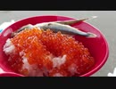 2019/06/17投稿【フルVer】北海道 ハイエースで行く 車中泊くるま旅 GW2019　3分割版 part 2