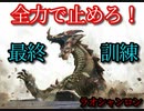 【ゆっくり実況】老山龍の侵攻【wii版　モンスターハンターG】