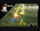 【実況】マスターモードでやりこみサバイバル生活！！　Part35　【ゼルダの伝説　BotW】