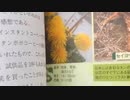 忙しい人の日本橋放送「たんぽぽを食う」