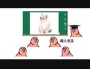 【Party Parrot】かわいい動物について学ぶようです