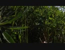 佐藤宣義