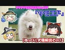 【ゆっくり犬種解説】その12「サモエド」