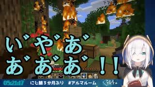 【悲報】アルスの家、炎上【Minecraft】