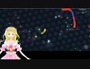 SeikinTVの魅力について語る桜川ひかり