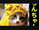 【第十一回】64スマブラCPUトナメ実況【珍好プレー集（後編）】