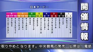 最終追い切り日本ダービー2020 GⅠ