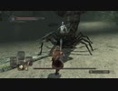 【DARK SOULS Ⅱ】今更始めるダクソⅡ初見実況　part17