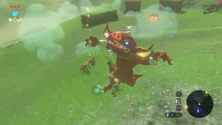 70歳がプレイするゼルダの伝説BotW （パート４：双子山の塔開放～双子馬宿）