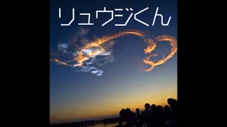 【ゆっくり怪談】リュウジくん