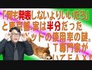 #682 「何も発表しないよりいいだろ」と東京都。実は半分だったベッドの使用率の謎。ＩＴ専門家がいてＦＡＸだって｜みやわきチャンネル（仮）#822Restart682