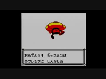 【ポケモンピカチュウ版】いい歳の女が今からポケモンマスターを目指すpart17【実況】