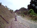 ビューティホ林道・ＭＡＸ＆海底人