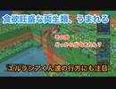 【実況】Birthdays the Beginning #7 〜 本業に戻って両生類爆誕さす〜