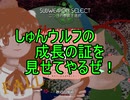 【実況】東方を１１ミリも知らない僕が弾幕STGに挑戦【天空璋】 4