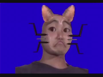 野獣先輩　猫タイプ ネコと化した先輩BB - ニコニコ動画
