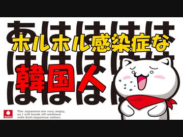 ホルホル感染症な韓国人