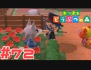 【実況】バラ畑にいたシベリアを観察してみた #72【あつまれどうぶつの森】