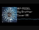Big Brother Cover(改)