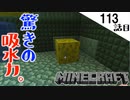 《Minecraft》スポンジやべぇ。からのこんがりガーディアン装置完成？・・・大切な人が居なくなった113話目《てきとうサバイバル》