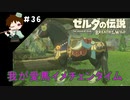 【実況】マスターモードでやりこみサバイバル生活！！　Part36　【ゼルダの伝説　BotW】