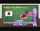 牛肉と肥育ホルモン