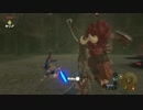 70歳がプレイするゼルダの伝説BotW （パート６：タロ・ニヒの教え・初ライネル戦）