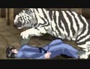 【リョナ】巨乳柔道家VS白虎【スマホ格ゲー】
