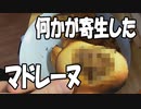 【料理】マドレーヌ作ったらやべぇやつ生み出した