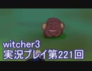 探し人を求めてwitcher3実況プレイ第221回