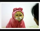 #417 2020年5月26日(火) 朝でも、ヲタクに雑談は難しい