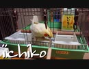 24歳は、やっぱり大人！一人H頑張ってますｗ