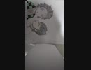 炭カナ 描いてみた part2 【完成版】