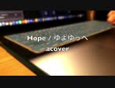 【下手だし自信ないけど】「Hope」を音を奏でる感じで、アレンジして演奏して歌ってみた【acover】